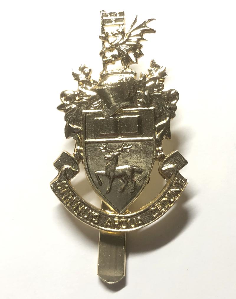 Southampton University OTC anodised cap badge by Firmin.