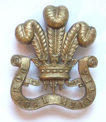 Irish. Prince of Wales?s Own Donegal Militia Victorian OR?s glengarry badge circa 1874-81.